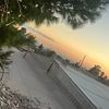 nevvy116