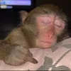 sshhhhhiiitttttt