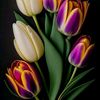 tulipanes099