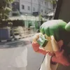 kehuydiettgnay