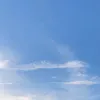 lemonmomo11