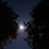 lunarsolace.o