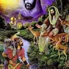 umahmed5071