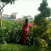 sulistianawati99