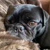 bruce1080457832