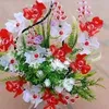 vananh20126
