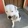kitos78moreno