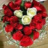 faiqa484