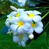 thulasi_191086