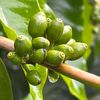 naturalfood18