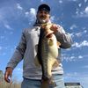 fitenbass