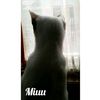 milamiaumiok