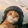bintanggmail.com38