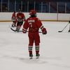 gray_dog7