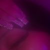 user11109096
