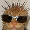 petek_smetek