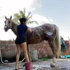 amandinhasantos_68