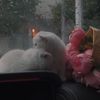 ameera_429