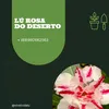 lugomes287