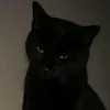 sadxiis