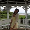 camelia_hedde