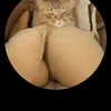 kingsdkki