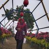 eril.gemoy