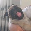 frnda_077