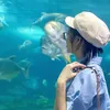cucachuahihi