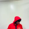 dhino_020