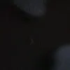 patriciofranco1