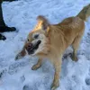 gaabbiiiiiiiiiiiiii