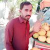 shahidbhatti661