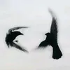 abissd_