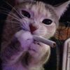smokinggenji