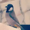 m...ns