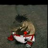 kenny_1_2_06