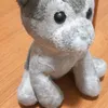 stefanotardio76