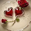 snfora268