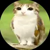 jabeshkaarfa3