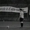 vitto_perna