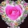 mubeenhussain4