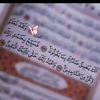 mahmoudgamah3