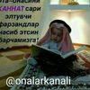 muhamadal1yeva_oo8_