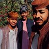 ahmedalrooki