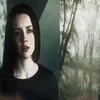 sheamaneatea
