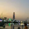 fal_87