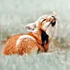 jxte_moi123