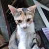 ayang.....mu