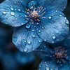 indhsyam98_